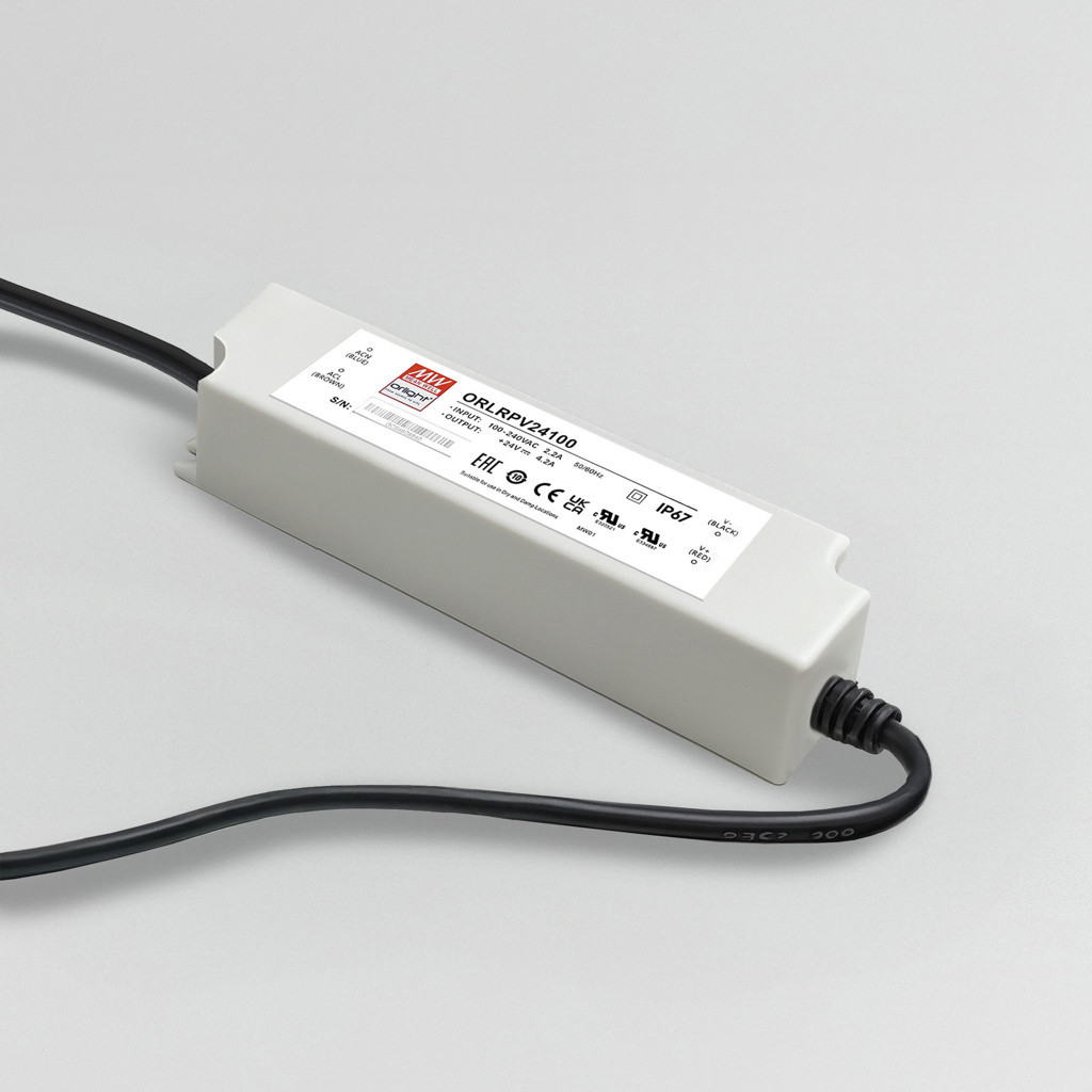 ORLRPV24100