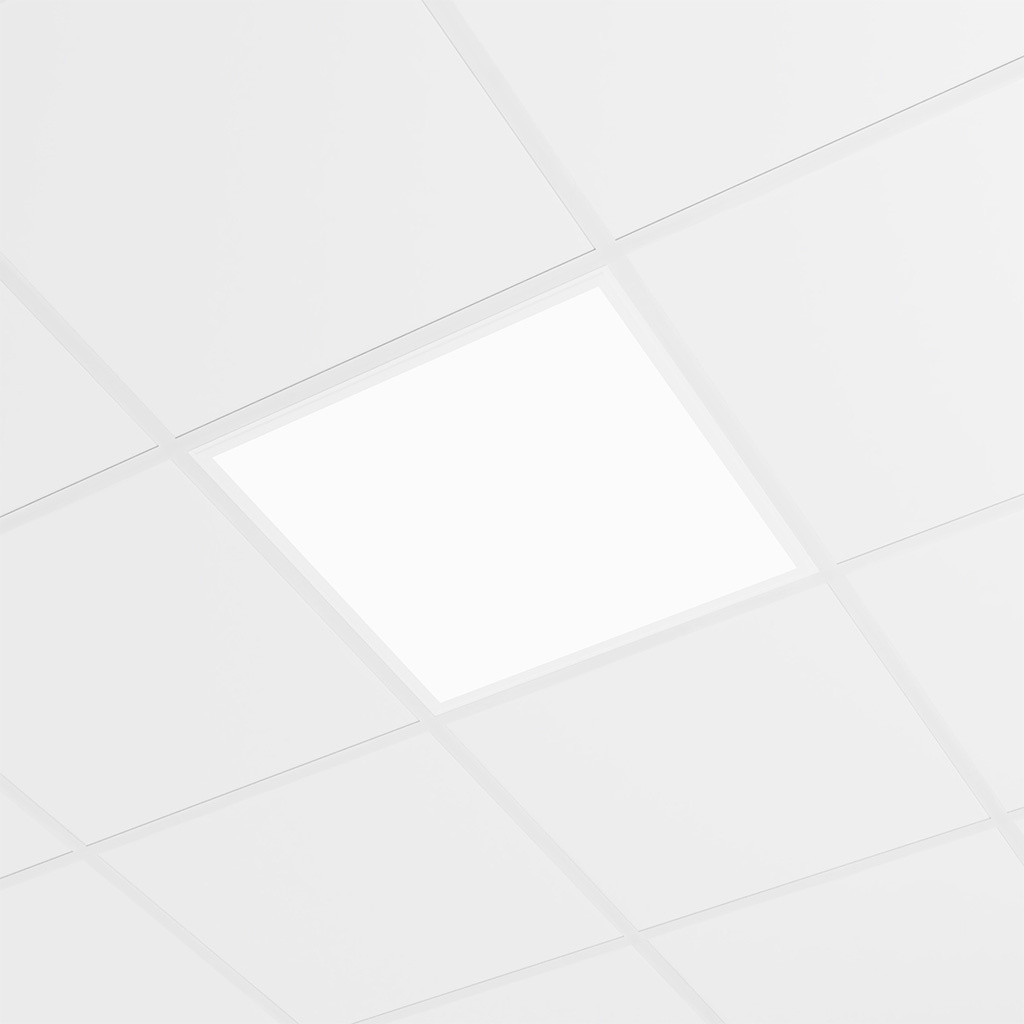 PANEL